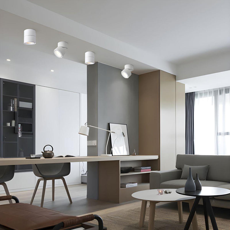 Rotatable Spotlight Ceiling Light-DWHOME