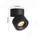 Rotatable Spotlight Ceiling Light.