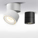 Rotatable Spotlight Ceiling Light - DWHOME