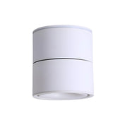 Rotatable Spotlight Ceiling Light-DWHOME