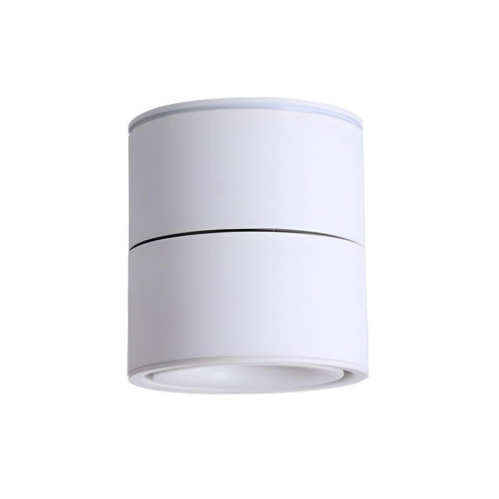 Rotatable Spotlight Ceiling Light - DWHOME