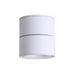 Rotatable Spotlight Ceiling Light - DWHOME