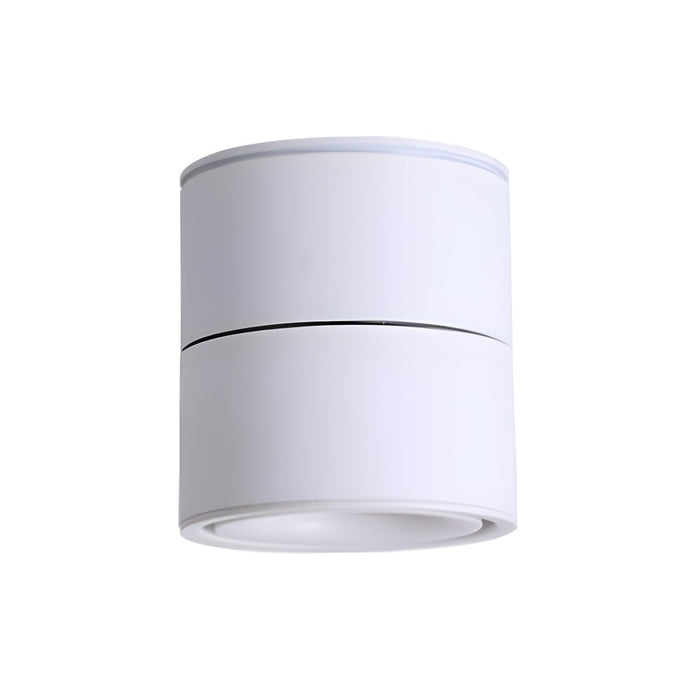 Rotatable Spotlight Ceiling Light.