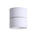 Rotatable Spotlight Ceiling Light.