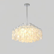 Round Shell Chandelier B-DWHOME