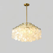 Round Shell Chandelier B-DWHOME