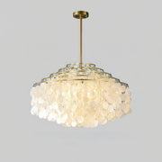 Round Shell Chandelier B-DWHOME