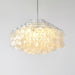 Round Shell Chandelier B - Vakkerlight