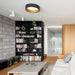 Round Ceiling Lamp-DWHOME