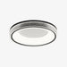 Round Shape Flush Ceiling Light.