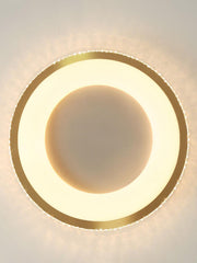Round Shape Flush Ceiling Light-DWHOME