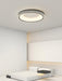 Round Shape Flush Ceiling Light.