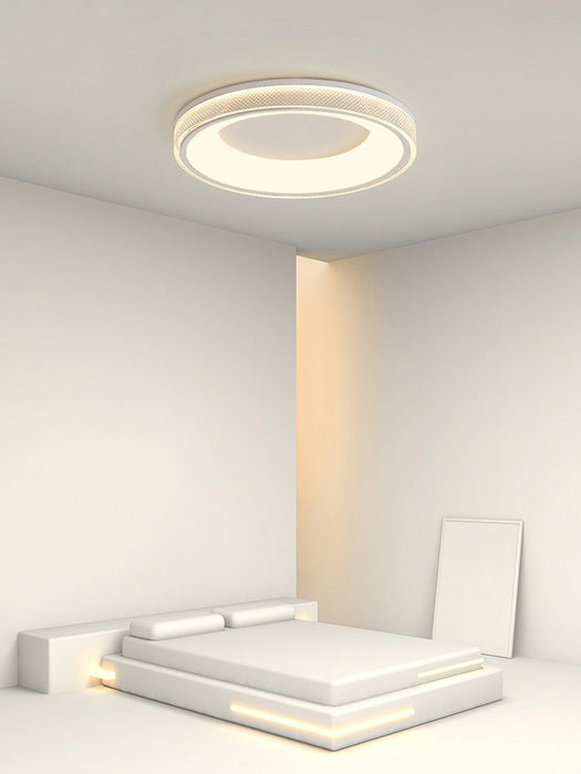 Round Shape Flush Ceiling Light.