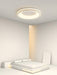 Round Shape Flush Ceiling Light.