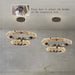Bacci Ring Modern Chandelier-DWHOME