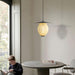 Satellite Pendant Lamp - Vakkerlight