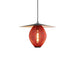 Satellite Pendant Lamp - Vakkerlight