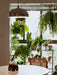 Saturno Chrome Pendant Lamp-DWHOME