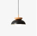 Savie Pendant Lamp-DWHOME