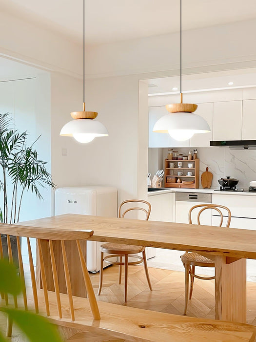 Savie Pendant Lamp-DWHOME