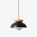Savie Pendant Lamp-DWHOME