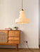 Schoolhouse Glass Pendant Light-DWHOME