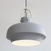 Rainier Contemporary Pendant Light.