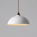 Arc Sphere Pendant Light-DWHOME