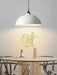 Semi Ball Pendant Light - Vakkerlight