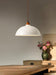 Arc Sphere Pendant Light-DWHOME