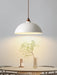 Arc Sphere Pendant Light-DWHOME