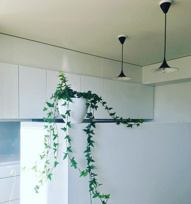Semi Pendant Light-DWHOME