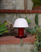 Mushroom Bliss Cordless Lamp-DWHOME