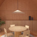 Shade Umbrella Pendant Lamp.