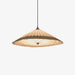 Shade Umbrella Pendant Lamp.