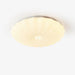 Acrylic Shell Round Ceiling Lamp.