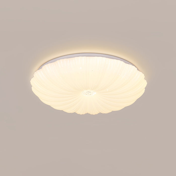 Acrylic Shell Round Ceiling Lamp.