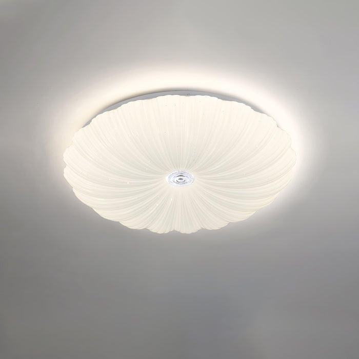 Acrylic Shell Round Ceiling Lamp.