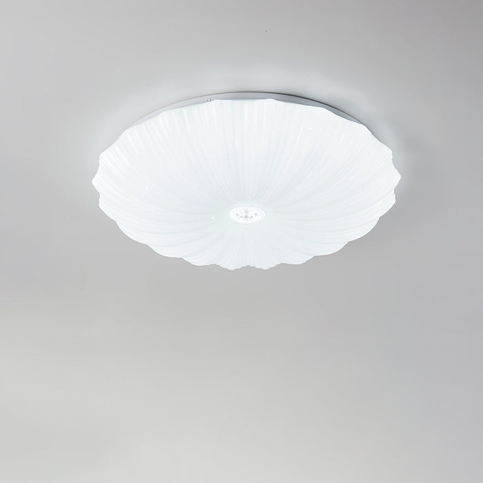 Acrylic Shell Round Ceiling Lamp.