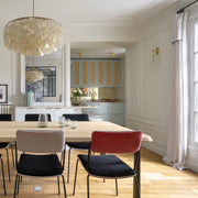 Round Shell Chandelier-DWHOME
