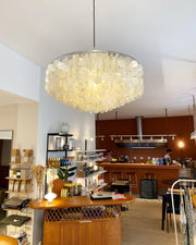 Round Shell Chandelier-DWHOME