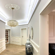 Round Shell Chandelier-DWHOME