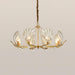 Shell Crystal Chandelier - DWHOME