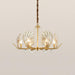 Shell Crystal Chandelier - DWHOME