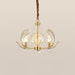 Shell Crystal Chandelier - DWHOME