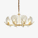 Shell Crystal Chandelier - DWHOME