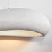 Shinto Cloud Pendant Light.