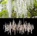 Shiro Noda Crystal Chandelier - DWHOME