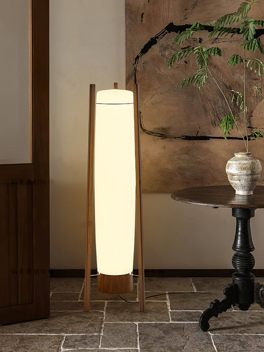 Side LED Floor Lamp.