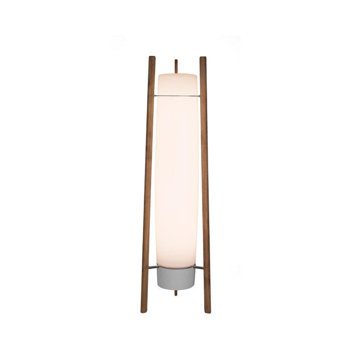 Side LED Floor Lamp.